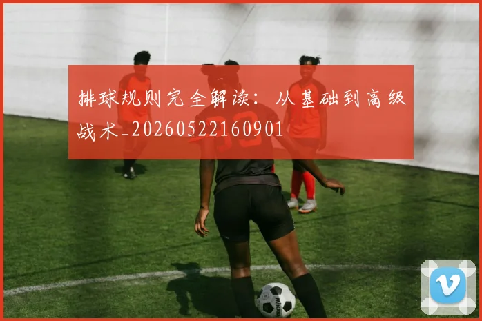 排球规则完全解读:从基础到高级战术_20260522160901