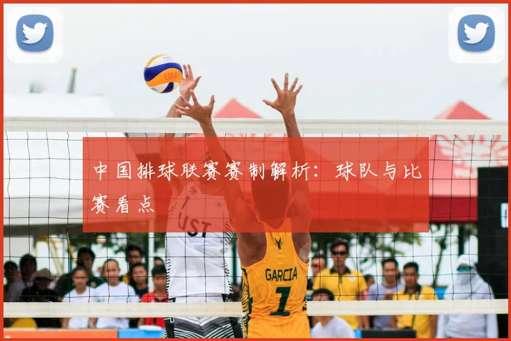 中国排球联赛赛制解析：球队与比赛看点